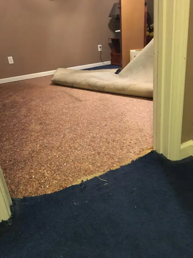 Carpet pad removal revealing water damage during Water Mitigation Services in Stanton